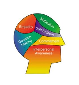 Intelligenza emotiva